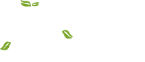 logo light